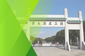 武汉大学-MEM项目（非全日制）