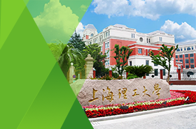 上海理工大学管理学院-物流工程与管理（非全日制）
