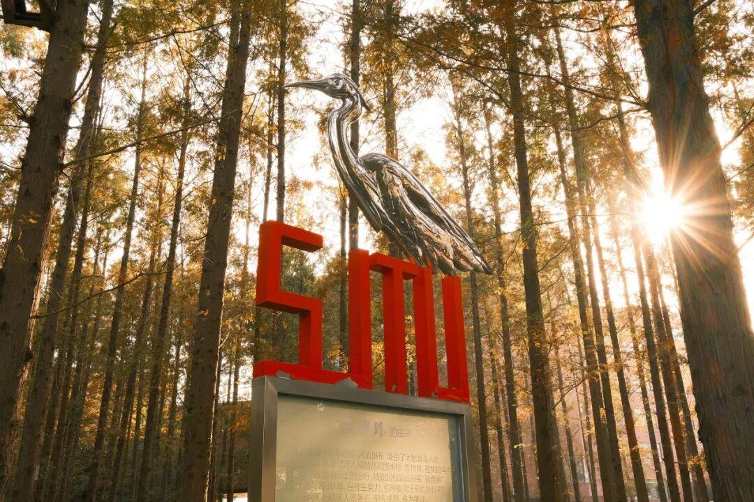 1762242495226089.jpeg 9731fb412dec4f78b07b1fa3dfe65815~tplv-tt-origin-web_gif.jpeg